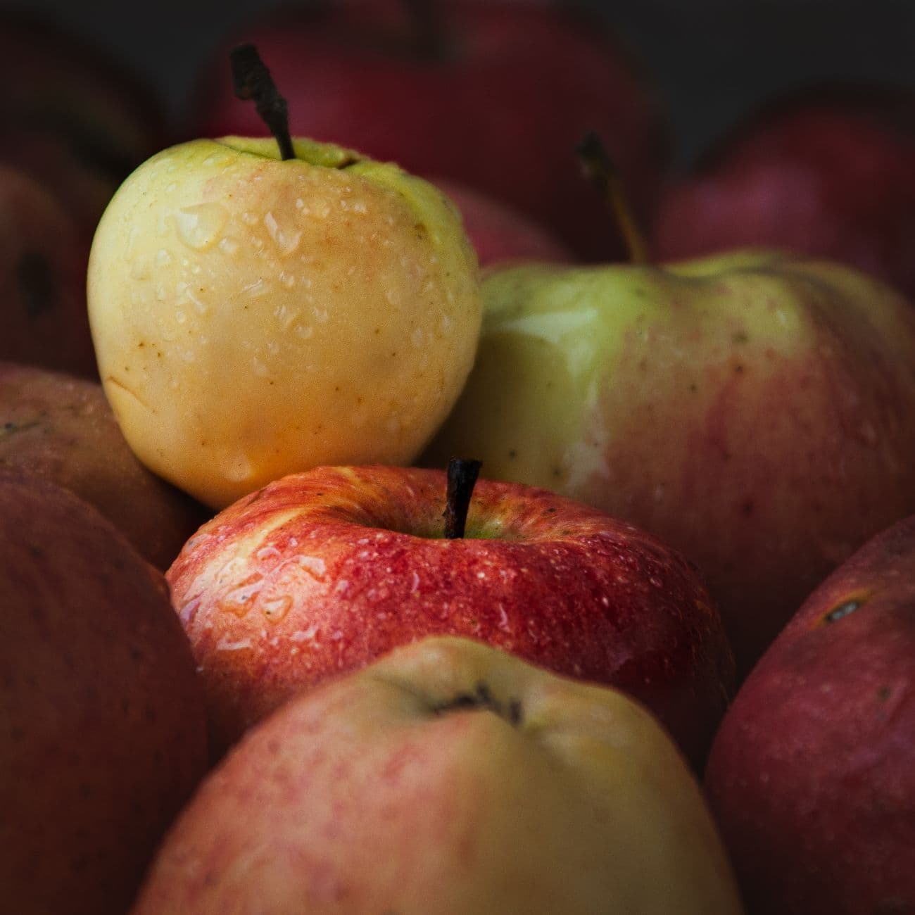 Apple - Fuji(Pink)